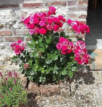 Le Clos Saint Leger Bed & Breakfast Anxtot