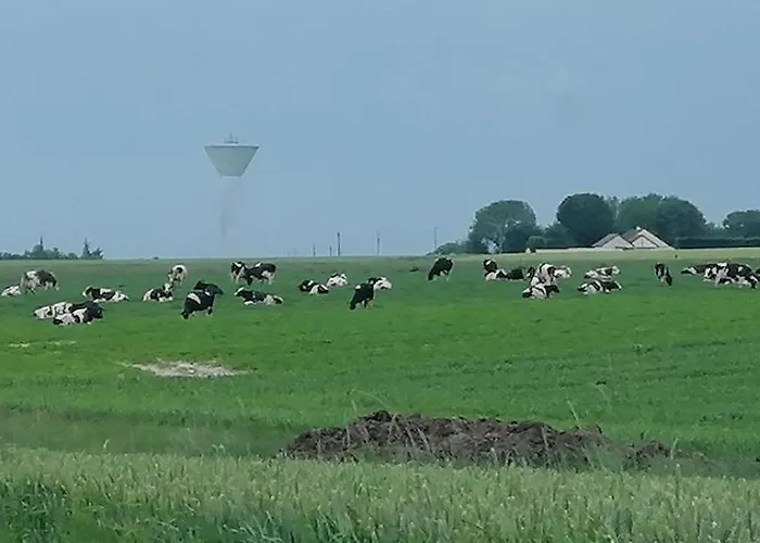 Le Clos Saint Leger Bed & Breakfast Anxtot